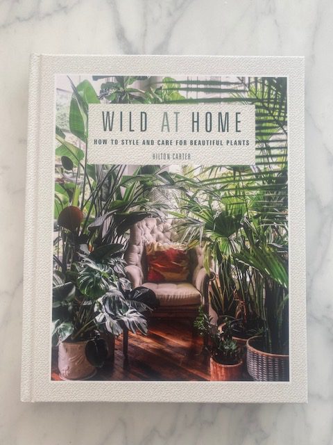 Wild at Home: How to style & care for plants